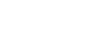 HemoCura - MD 3